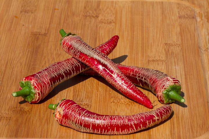 Produktbild Zollinger Bio Chili, Eléphant (Keimlinge)