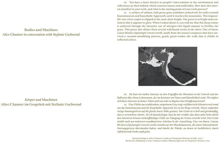 Actual product image Alice Channer (German, English, Stefanie Gschwend/ Art Museum/ Art Gallery Appenzell, Alice Channer, 2023)