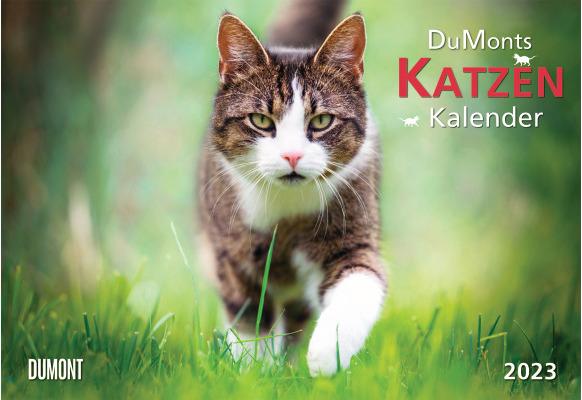 Produktbild Katzen (42 x 29 cm, Weicher Einband, Deutsch)
