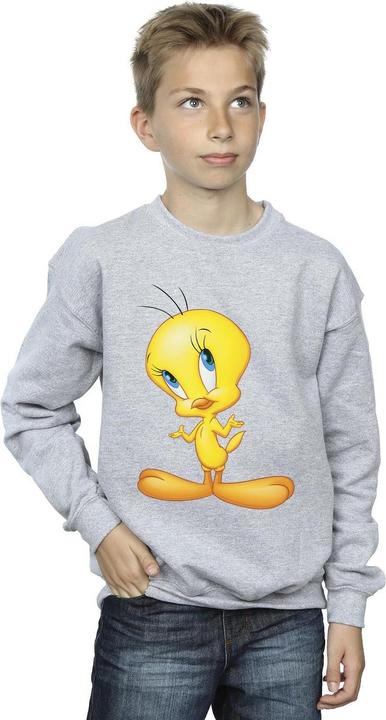 Actual product image Looney Tunes Boys Tweety Standing Sweatshirt (104)
