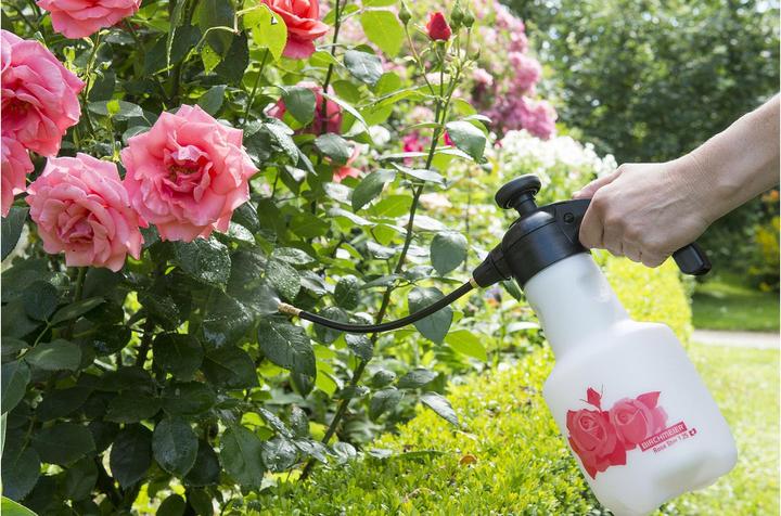 Produktbild Birchmeier Rose Star 1.25 (1.25 l)
