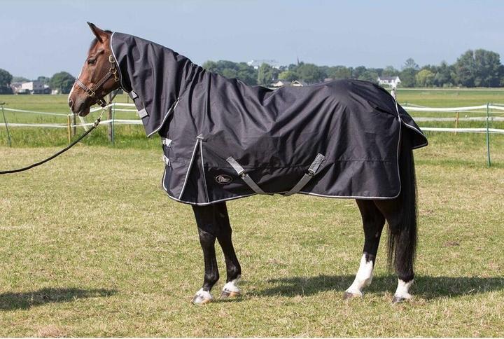 Harry's Horse Thor (175 cm)