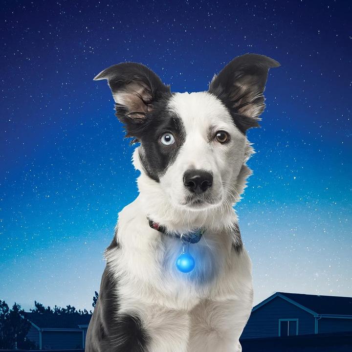 Immagine prodotto Nite Ize SpotLit LED (Cane)