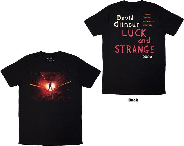 David Gilmour Luck & Strange Stage Shot