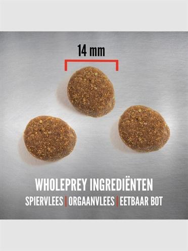 Image du produit Orijen Chiot Grand (Junior, 1 pcs, 11400 g)