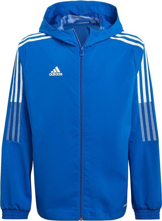 Royblu