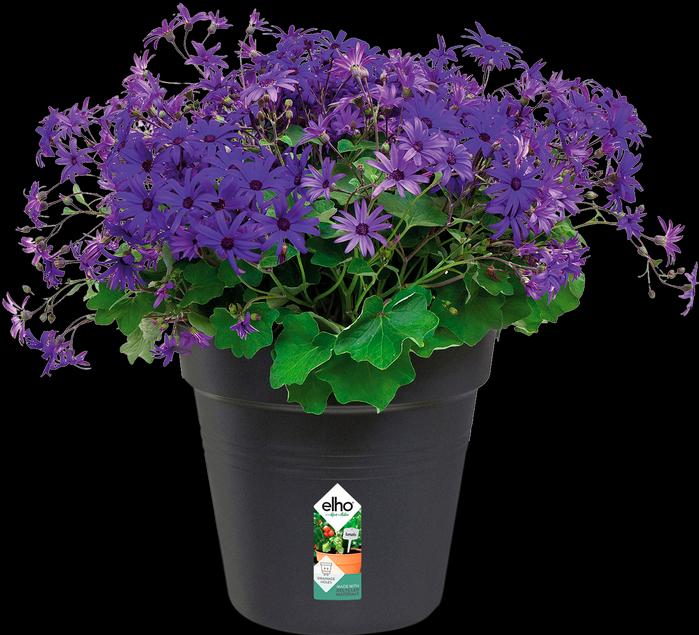 Image du produit Elho Green Basics (27 cm)