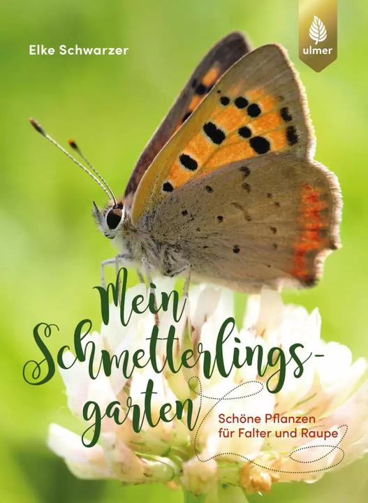 Produktbild Mein Schmetterlingsgarten (Deutsch, Elke Schwarzer, 2022)