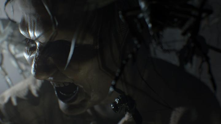 Actual product image Capcom Sony Resident Evil 7 Biohazard, PS4 Standard PlayStation 4 (PS4, EN)
