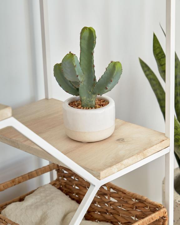 Image du produit Kave Home Cactus (22 cm)