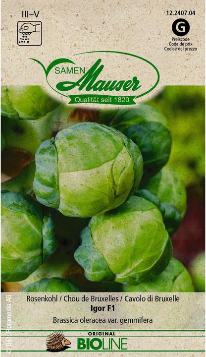 Image du produit Samen Mauser Chou de Bruxelles BIO Igor F1 (Graines de légumes)
