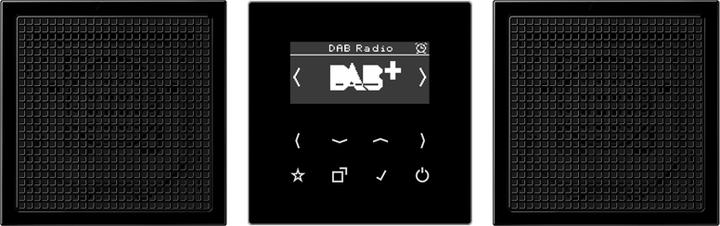 JUNG Smart Radio DAB+ DABLS2SW (Tuner radio)