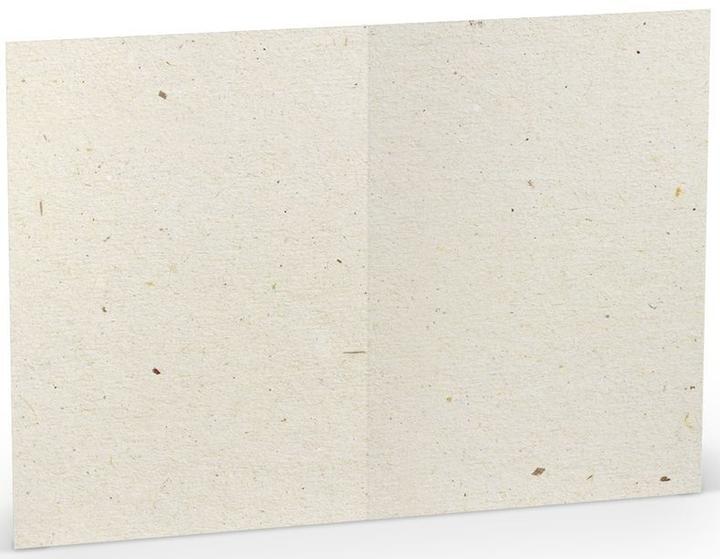 Actual product image Rössler Paperado Terra vanilla letter card (5 pcs.)