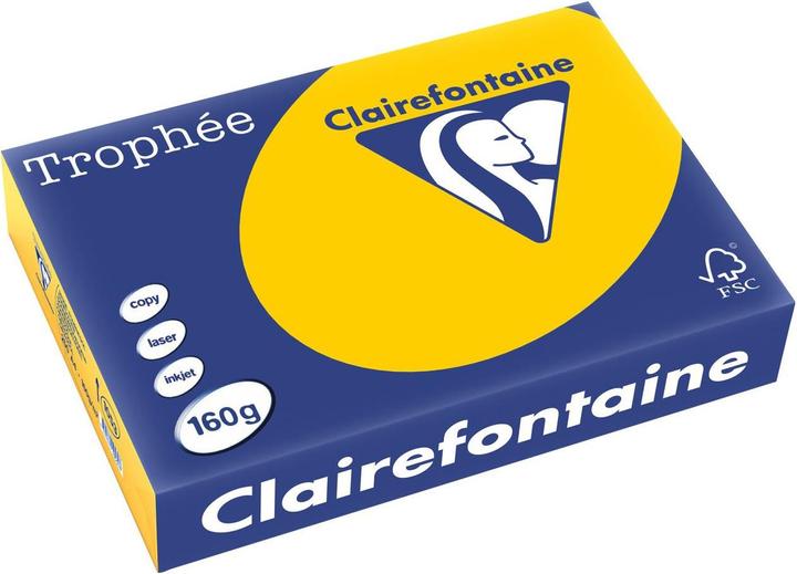 Image du produit Clairefontaine Trophée (160 g/m², 250 x, A4)