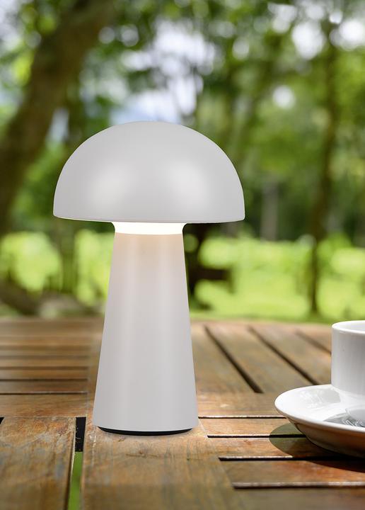 Actual product image Trio Lennon (180 lm)