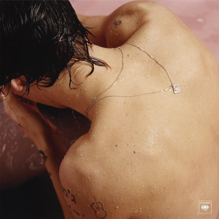 Image du produit Styles Harry (Styles Harry, 2017)