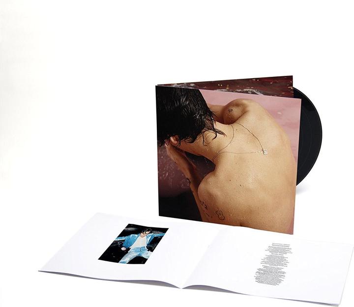 Image du produit Styles Harry (Styles Harry, 2017)