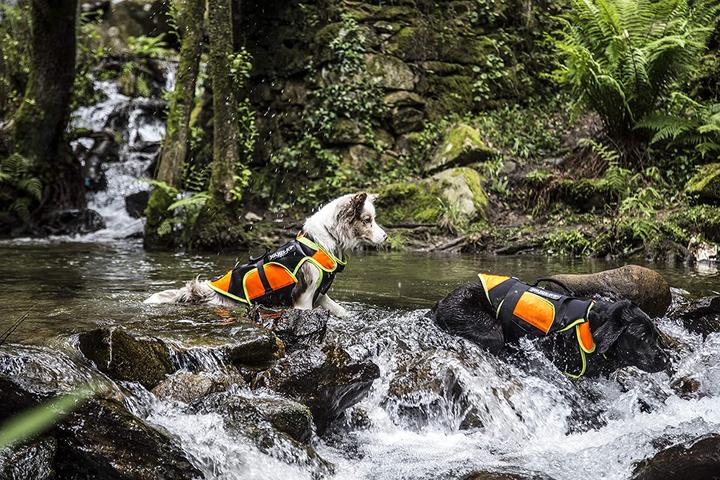 Actual product image Julius-K9 Multifunctional vestin (M, Dog life jacket)