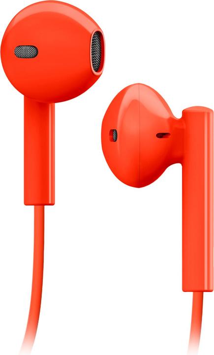 Rot