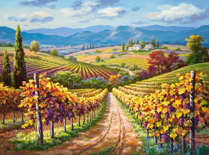 Actual product image Castorland 300587 Vineyard Hill, 3000 Piece Jigsaw Puzzles (3000 pieces)