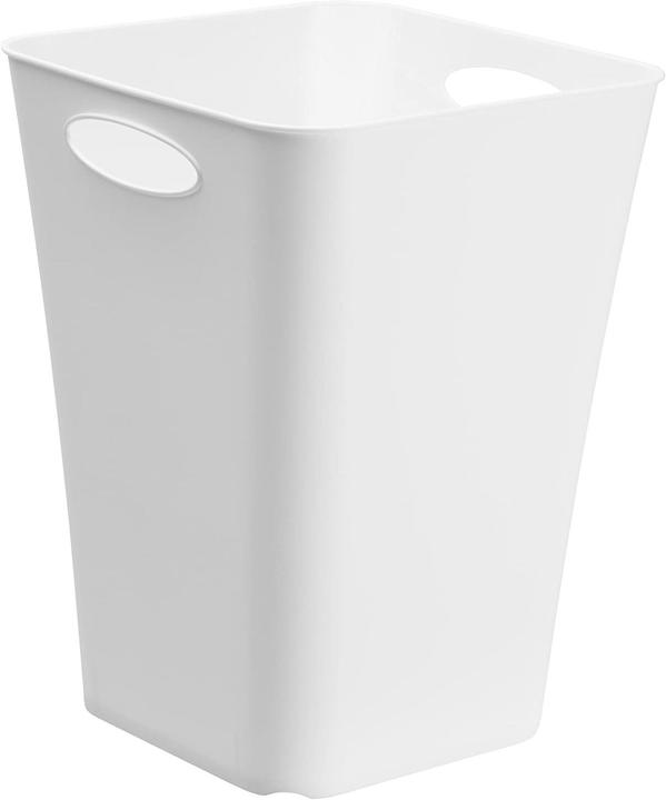 Actual product image Rotho Living Box (29.5 x 39.5 x 29.5 cm, 23 l)