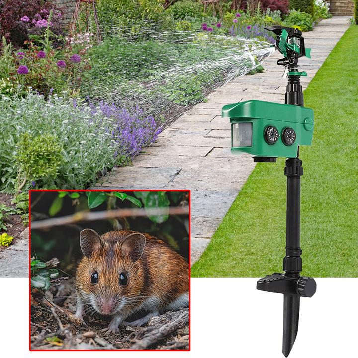 Actual product image Isotronic Water jet animal expeller