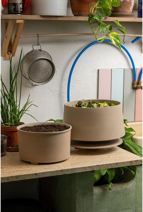 Immagine prodotto WormUp Home 2 (1.30 l)