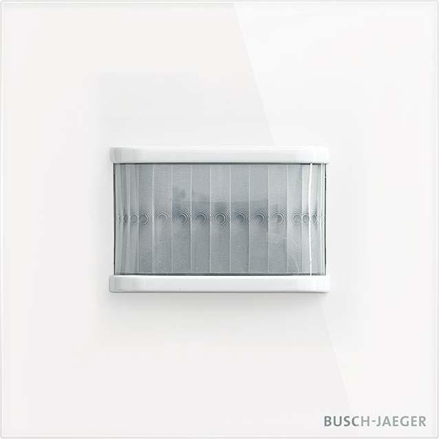 Actual product image Busch-Jaeger TBW/U.1.11-CG (6 m)
