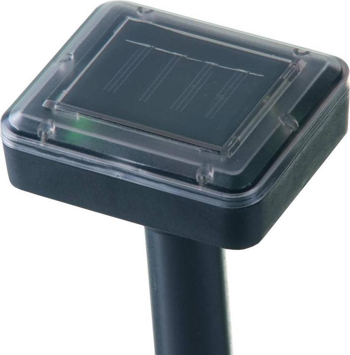 Image du produit Grundig Épouvantail solaire pour fourmis