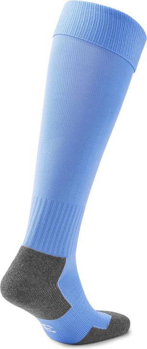 Actual product image Puma Team LIGA Socks CORE-703441 (31, 34)