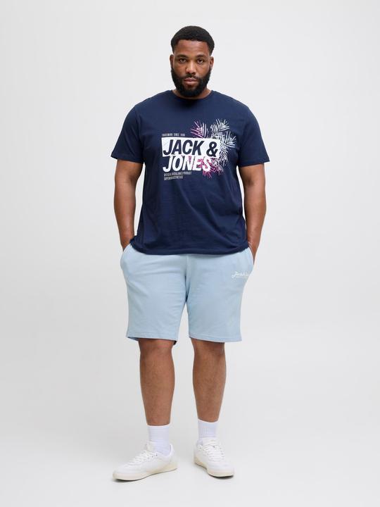 Produktbild Jack & Jones Plus Size Regular Fit Regular Fit Shorts Regular Fit Shorts (44)