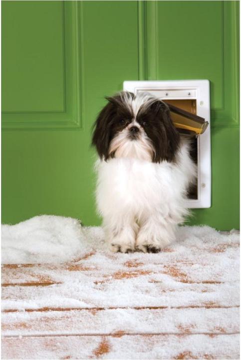 Immagine prodotto PetSafe Dog Flap Extreme Weather Gr (Gattaiola manuale)