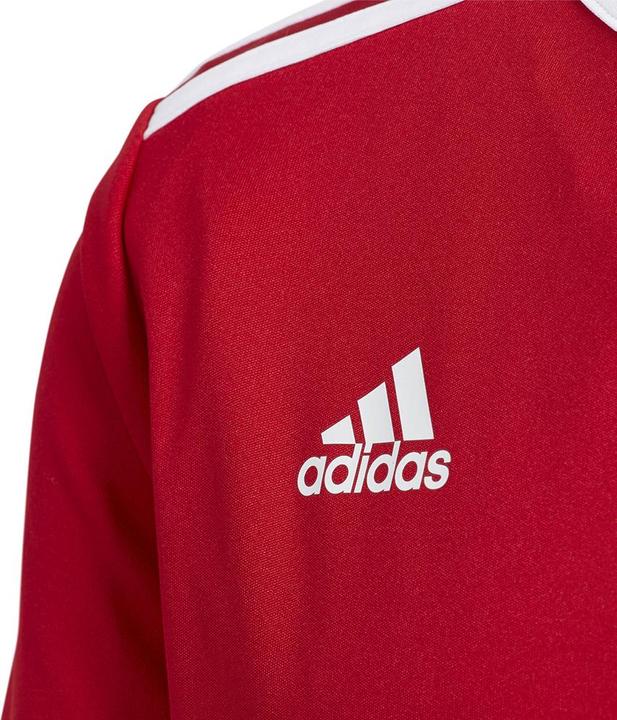 Immagine prodotto adidas Entrada 18 Jersey Bambini (128)