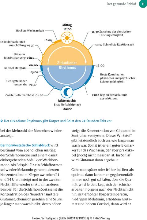 Actual product image Schlafapnoe (German, Fietze, Ingo, 2024)