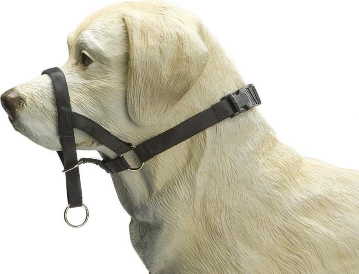 Image du produit Beeztees Bz Dog Control XS Noir (XS, Chien, Général)
