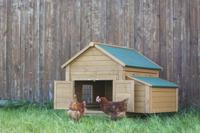 Actual product image Kerbl Laying nest for small animal hutch 811394