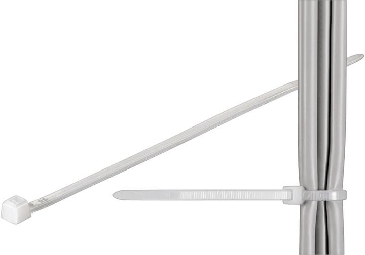 Goobay Kabelbinder Standard, transparent (Kunststoffkabelbinder, 200 mm, 100 Stk.)