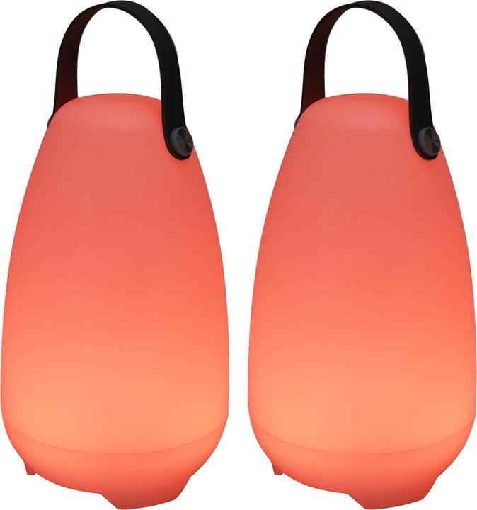 Image du produit ProGarden Lot de 2 lampes de table rechargeables avec 4 modes d'éclairage en blanc & 16 couleurs RGB, 26cm,