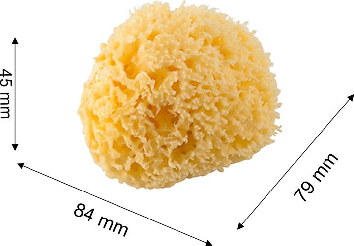 Actual product image Rotho Babydesign Mittelmeerschwamm