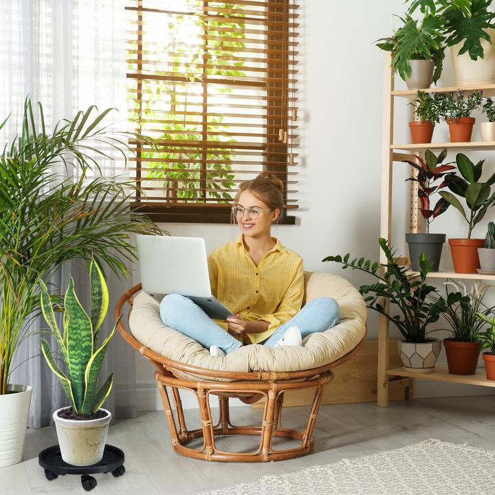 Immagine prodotto Relaxdays Portavasi con-rotelle
