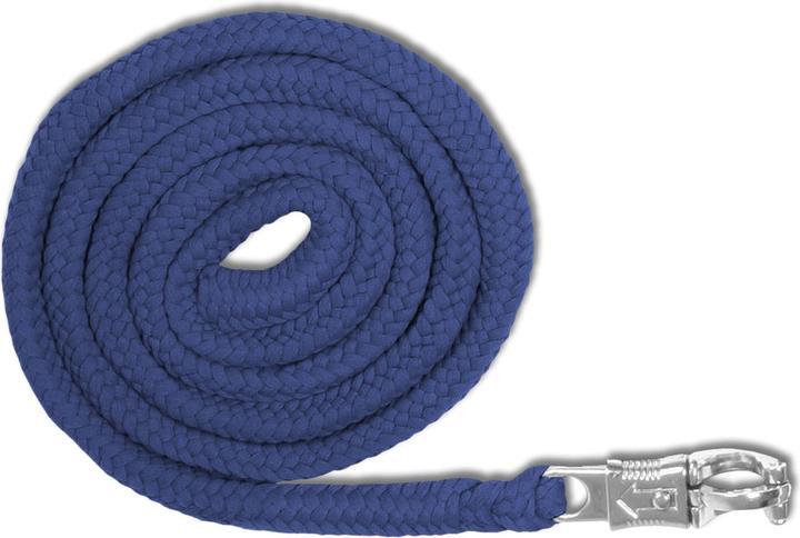 Waldhausen Tether Economic Panic Hook