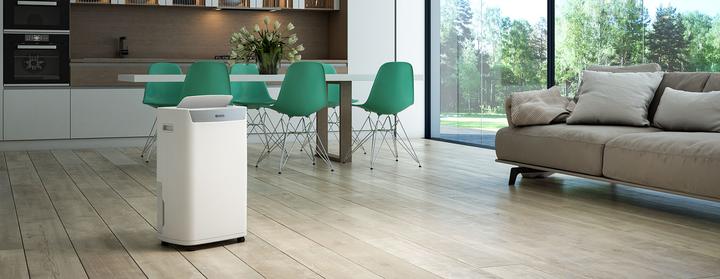 Image du produit Olimpia Splendid Aquaria S1 20 P (90 m², 20 l/24h)