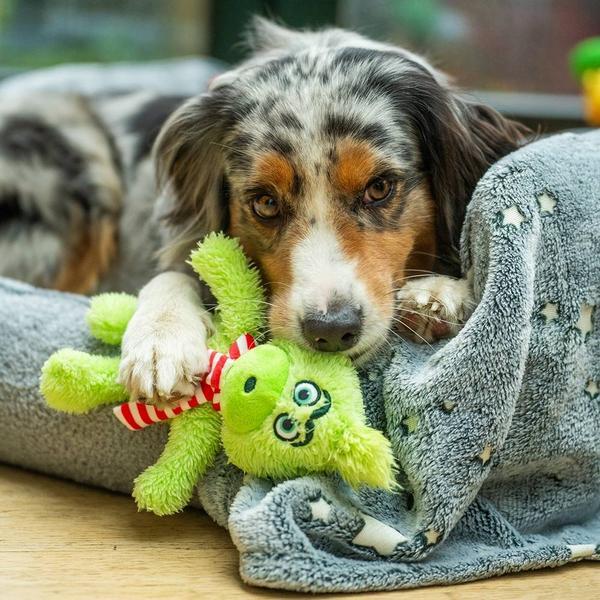 Actual product image Nobby Grinch (Dog)
