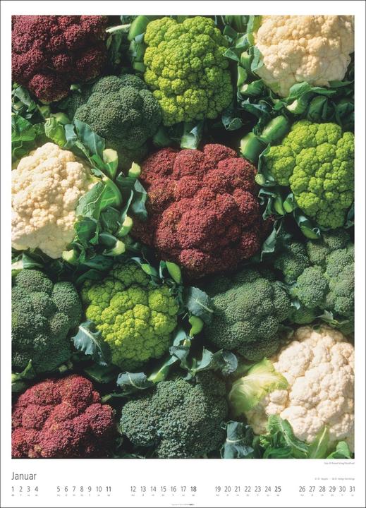 Produktbild Food Gallery Kalender 2026 (49 x 68 cm, Harter Einband, Deutsch)