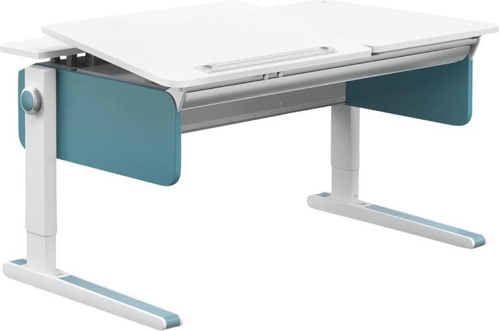 Actual product image Moll Champion Left Up (120 x 53 cm)
