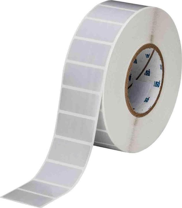 Immagine prodotto Brady Etichette in poliestere, satinate, argento, con adesivo a base di gomma, anima da 76 mm