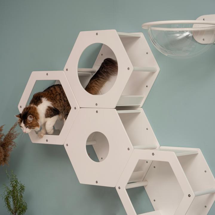 Immagine prodotto Wowhelperco Parete da arrampicata per gatti 8 pezzi (Bianco)