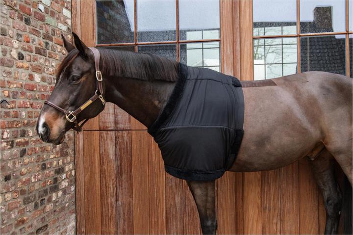 Produktbild Kentucky Horsewear Brustschutz