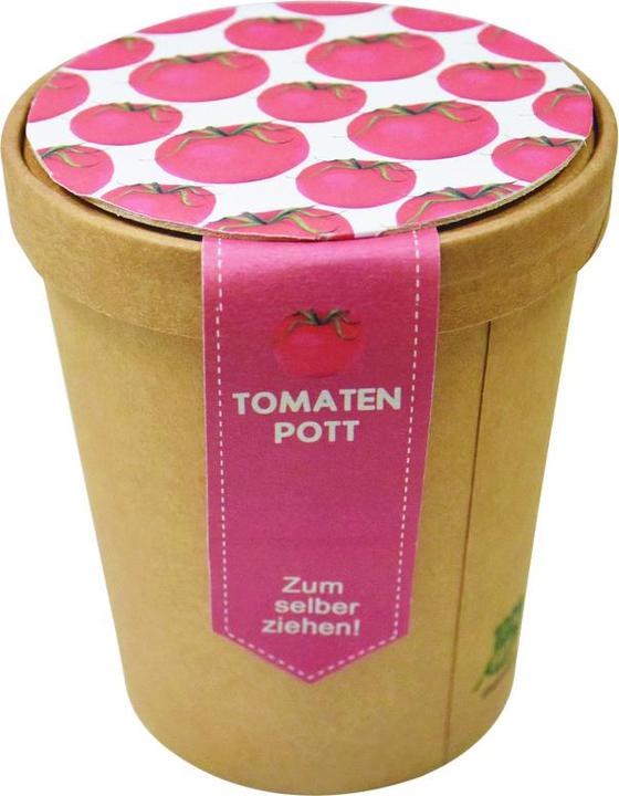 Produktbild Wunderle Tomaten Pott zum Selber Ziehen mehrfarbig