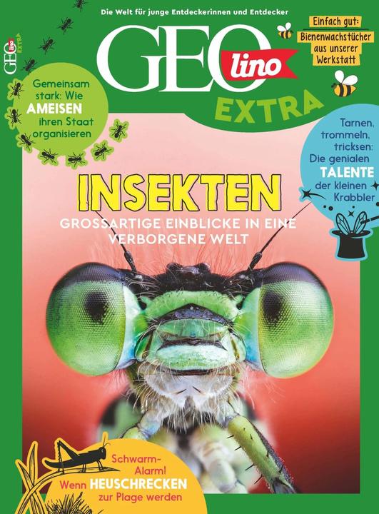 Produktbild GEOlino Extra / GEOlino extra 101/2023 - Insekten (Deutsch, Juliane van Treeck, 2023)